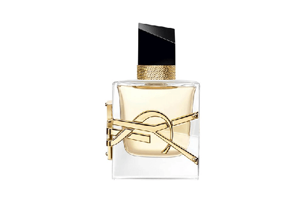 Free YSL Perfume